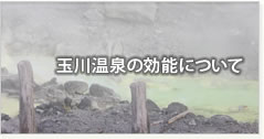 玉川温泉の効能について