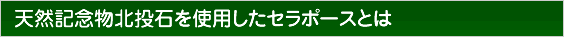 天然記念物北投石を使用したセラポースとは