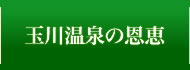 玉川温泉の恩恵